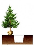 Filet pour balles d'arbres