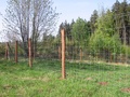 Grillage forestier et Grillage agricole