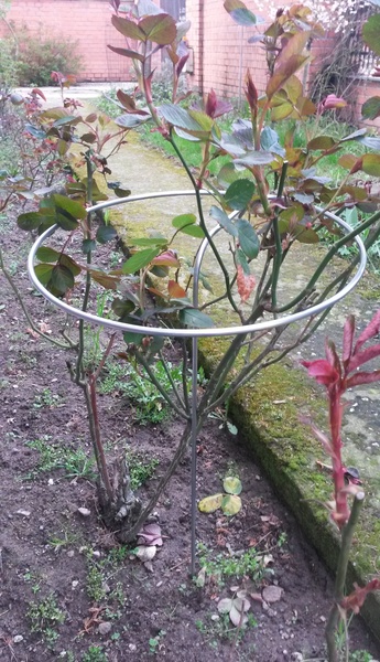 Soutien aux plantes